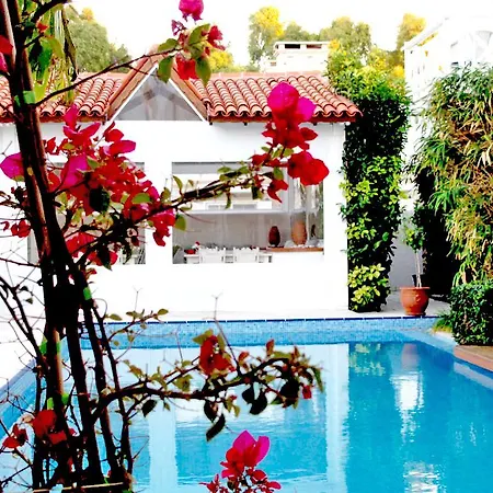 Hotel Alenos 2*