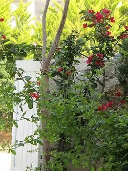 Hotel Alenos Alaçatı