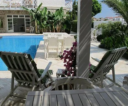 Alenos Alacati