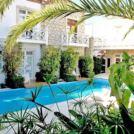 Hotel Alenos